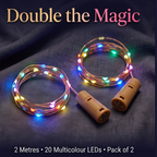 BottleBliss – Multicolour Fairy Bottle Lights (Pack of 2)