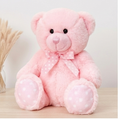 Luxury Huggable Teddy Bear